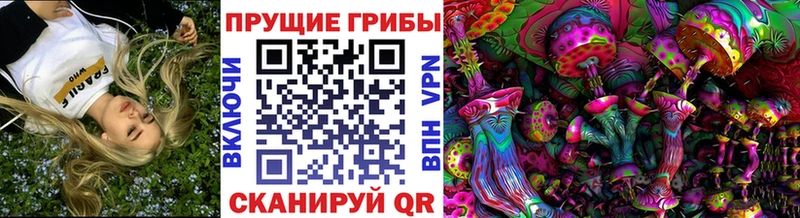 Псилоцибиновые грибы ЛСД  Вичуга 